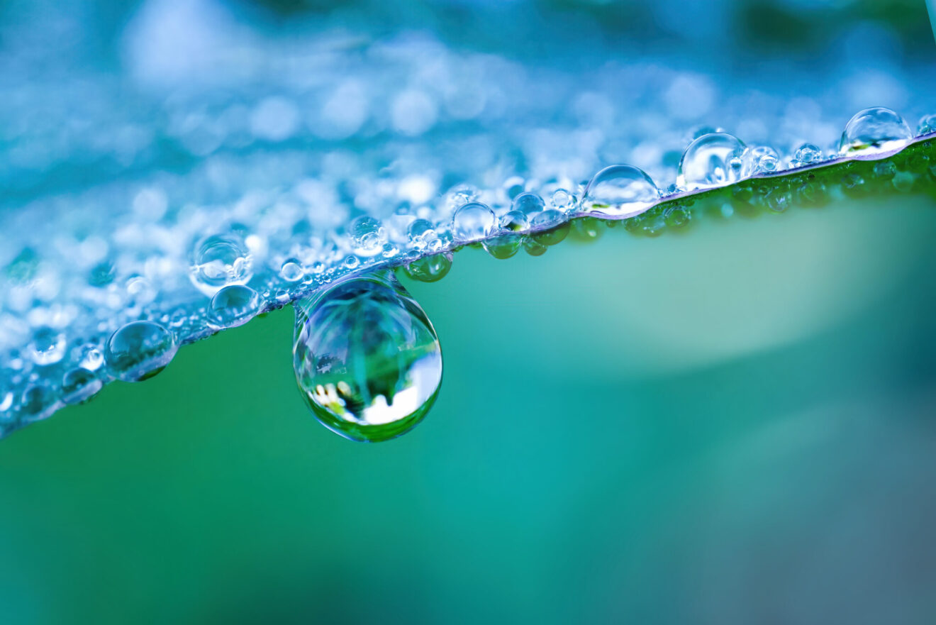 Large,Drop,Water,Reflects,Environment.,Nature,Spring,Photography,Â,Raindrops